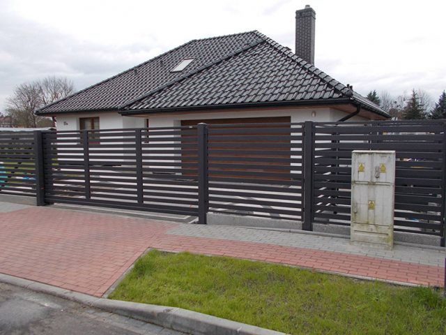 dekoratyvine tvora malachitas baltveja 3