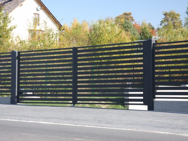 dekoratyvine tvora malachitas baltveja 9